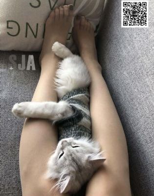 亚洲一区中文幕_BD国语手机在线看